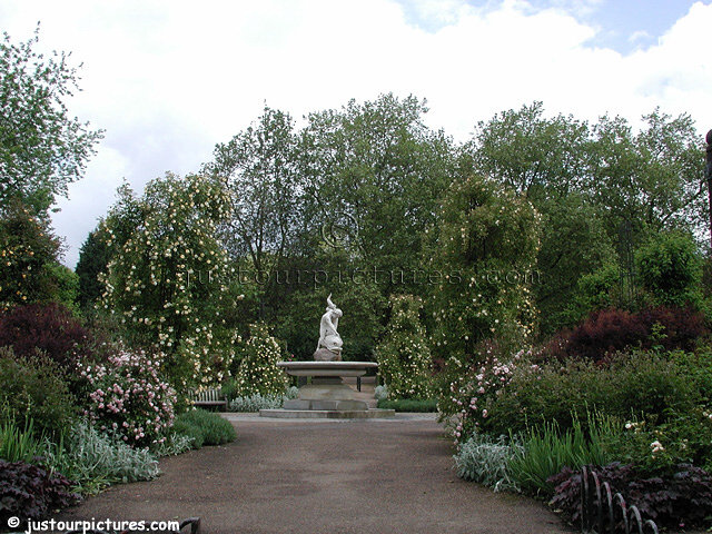 Boy dolphin roses Hyde Park